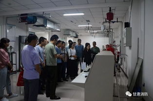 全省消防技術(shù)服務(wù)機構(gòu)從業(yè)人員集中培訓(xùn)圓滿結(jié)束